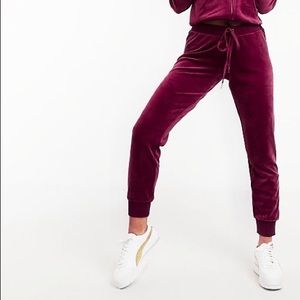 Juicy Couture Black Label Luxe Velour Zuma Jogger - Plum Wine